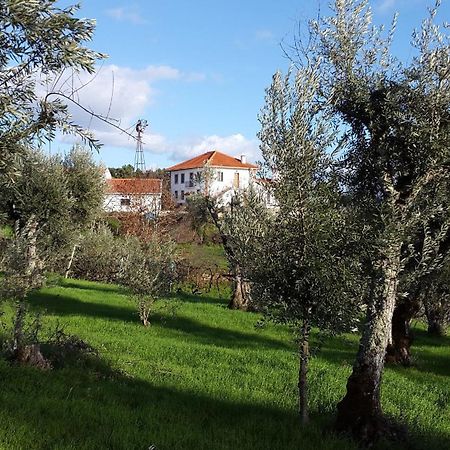 Quinta Quatro Ventos Bed & Breakfast Sertã Екстериор снимка