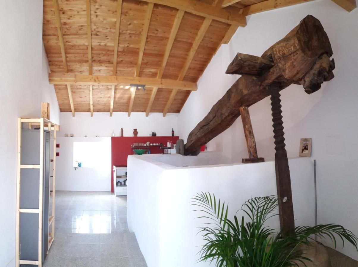 Quinta Quatro Ventos Bed & Breakfast Sertã Екстериор снимка