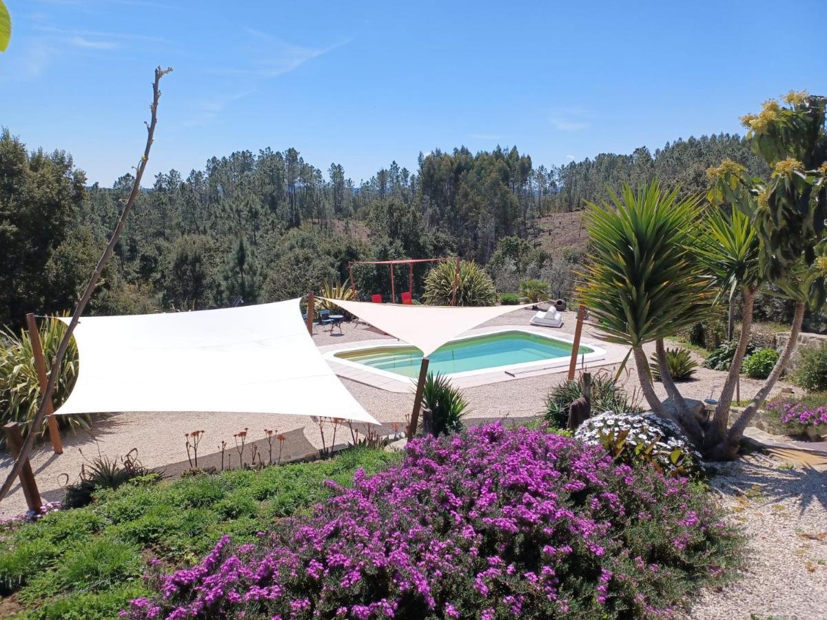 Quinta Quatro Ventos Bed & Breakfast Sertã Екстериор снимка